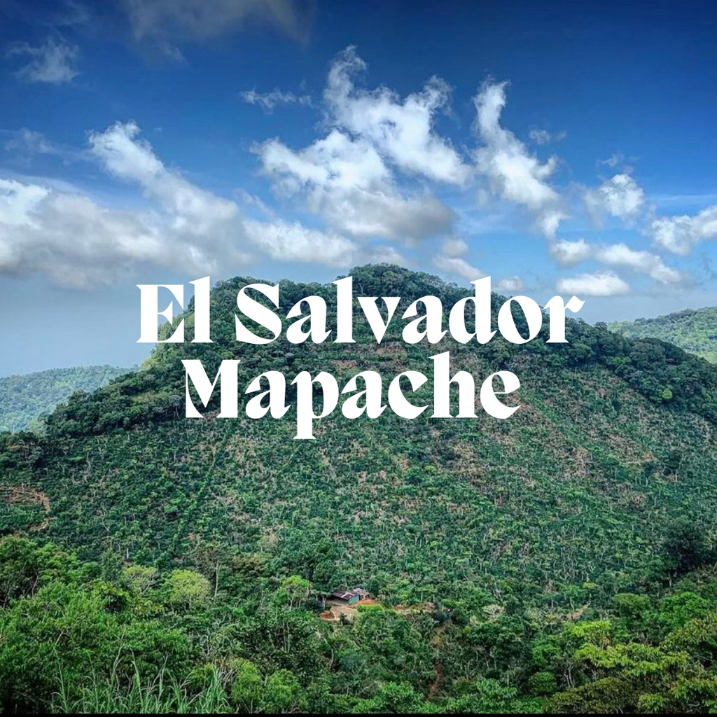 El Salvador Mapache - Single Origin