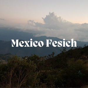 Mexico Fesich - Single Origin